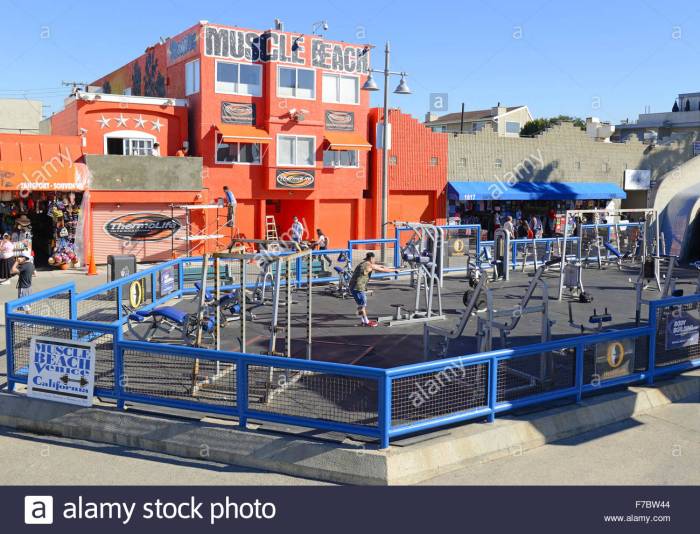 muscle-beach-california-de-venecia-f7bw44